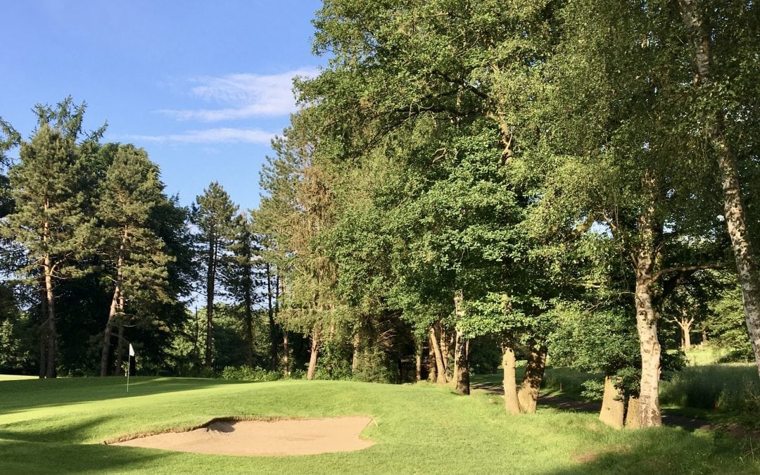 Neugolfer-Runde 2026