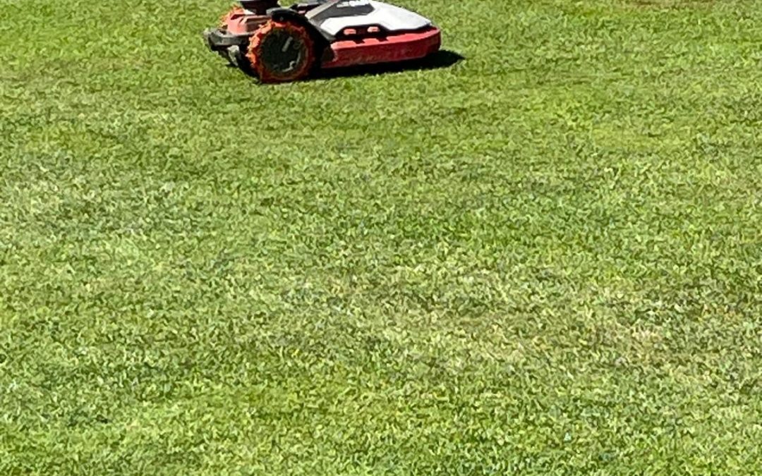 Greenkeeping