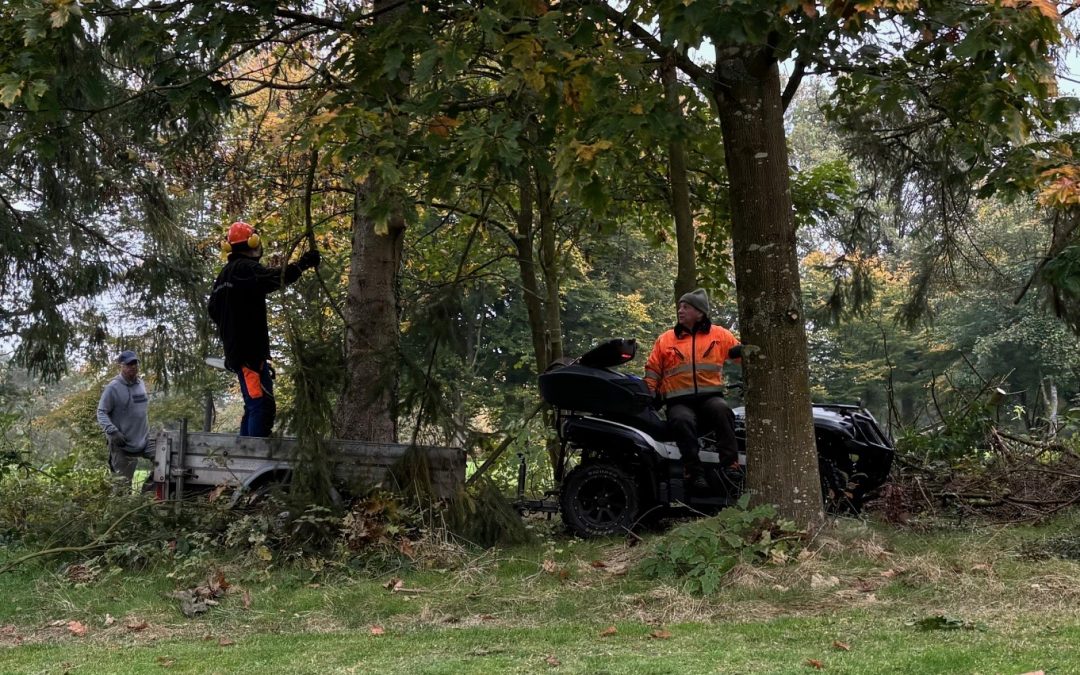 Platzpflegetag am 25.10.2025 fällt leider aus!